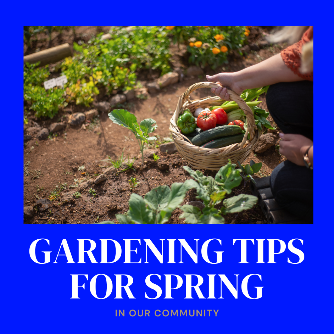 Copy of Gardening - Post Templates